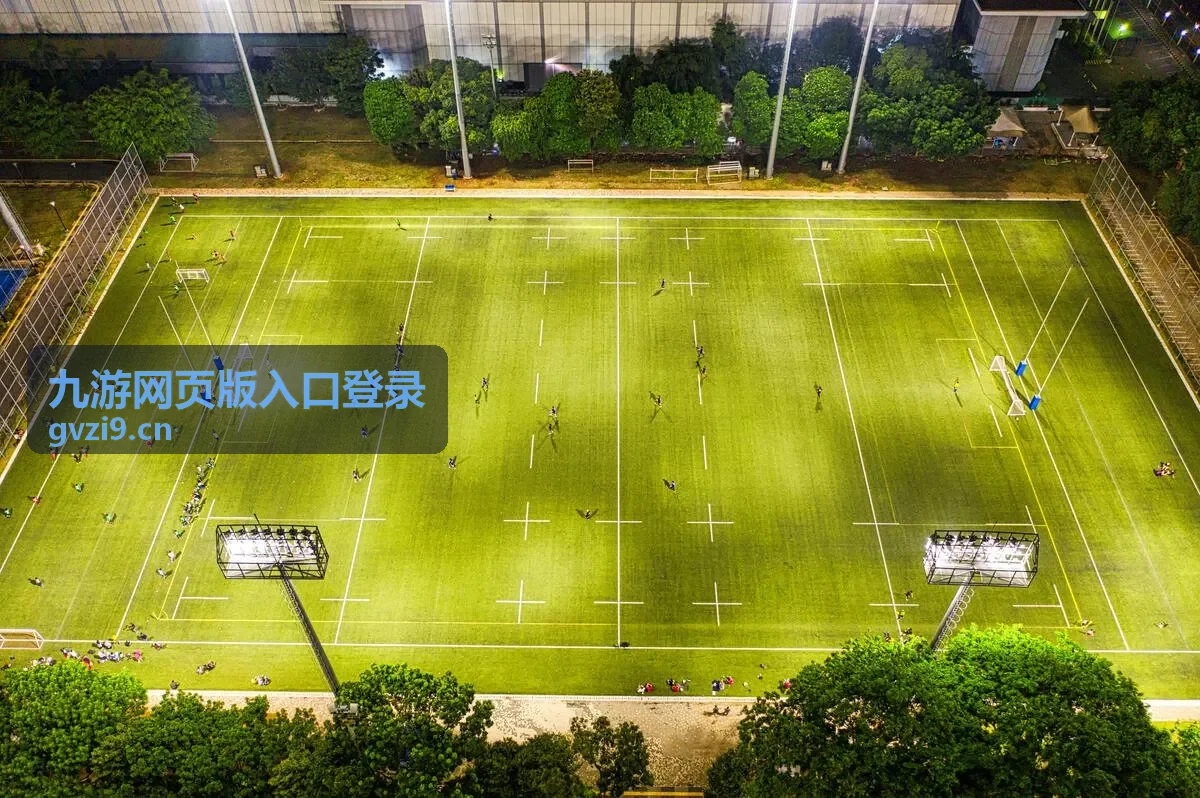 九游网页版入口登录的账号信息查看场景